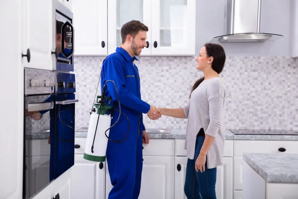 Pest Control Experts - Highland Best Pest Pros | Highland, CA | 626-323-8299